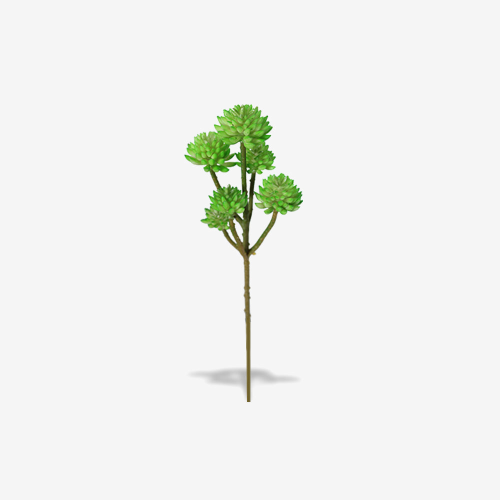 STONECROP